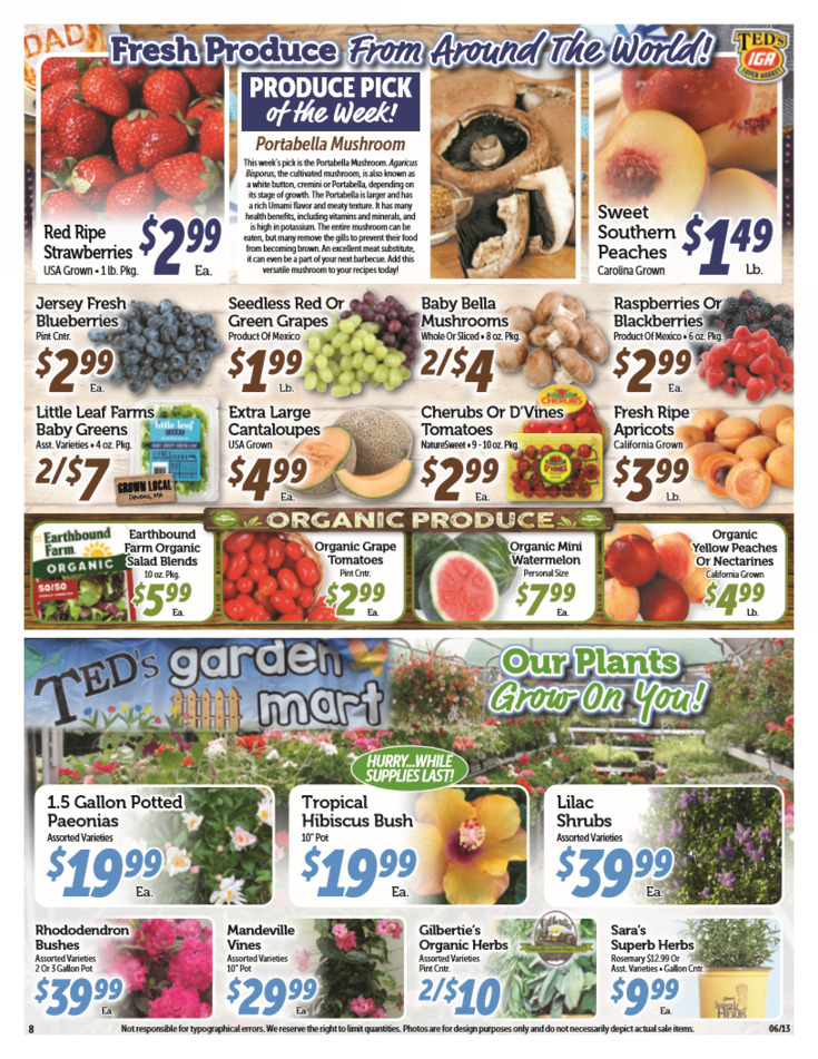 Circular Page 8